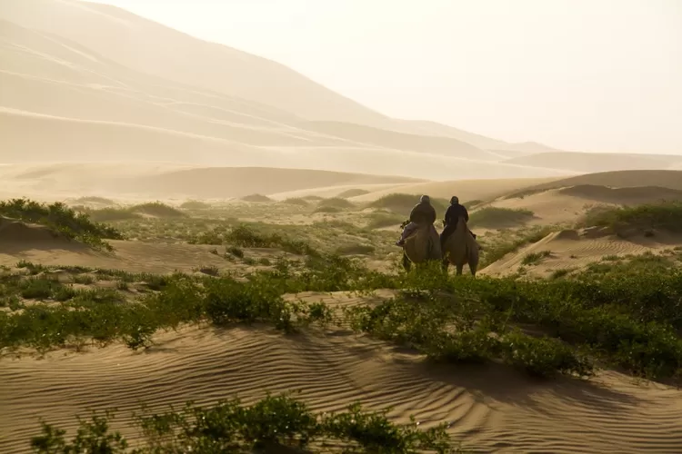 Mengenal Jabal Uhud Bukit Yang Dijanjikan Ada Di Surga Akurat