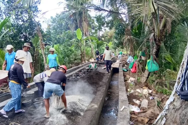 Tahun Desa Di Gianyar Terima Dana Desa Rp Miliar Bali Express