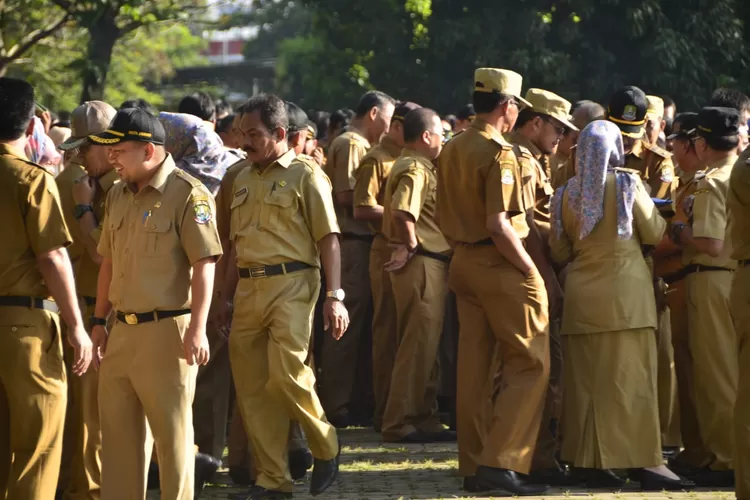 Kementerian Pan Rb Minta Asn Di Jakarta Wfh Berikut Aturannya Rbg Id