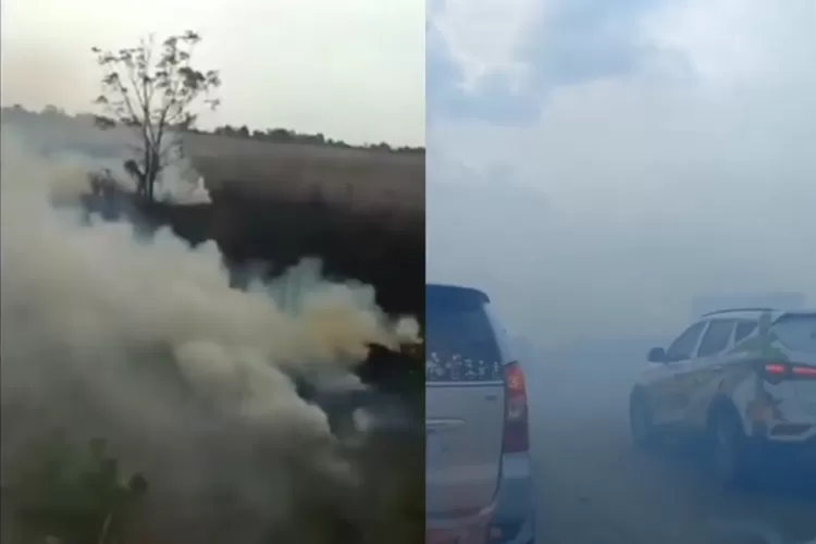 Korban Tewas Kecelakaan Beruntun Di Tol Cipali Karena Asap Pembakaran