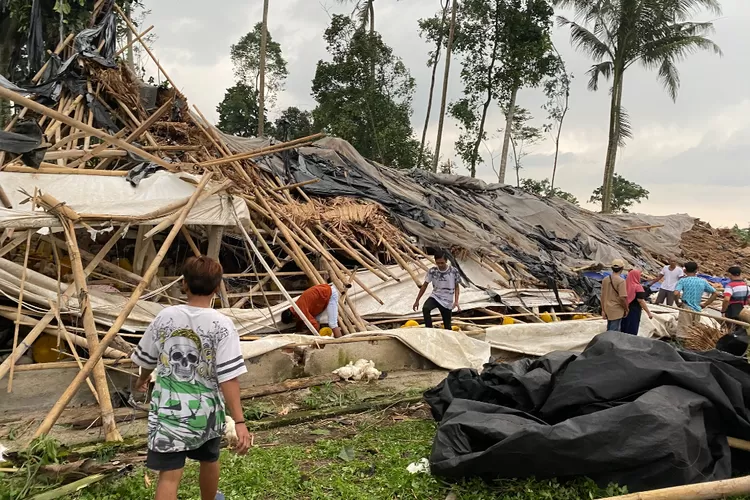 Angin Puting Beliung Terjang Wilayah Jember 91 Rumah Rusak Dan 3