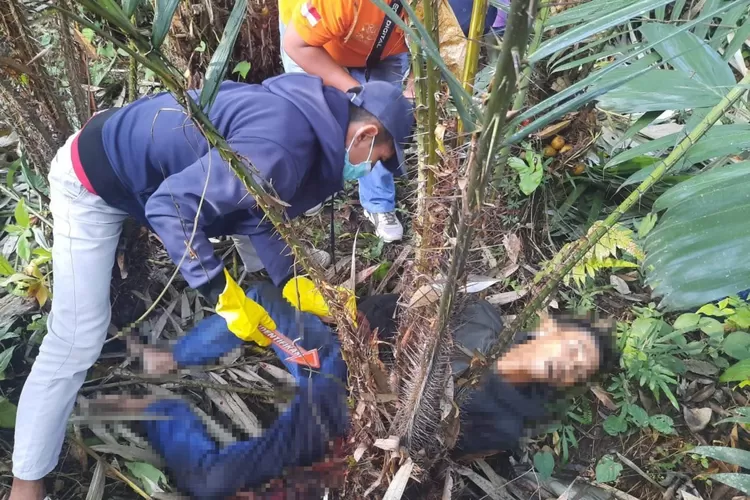 Mayat Pria Penuh Luka Ditemukan Tewas Di Kebun Salak Krjogja