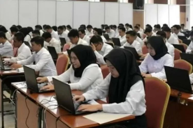 Pendaftaran Cpns Dan Pppk Dibuka Bulan Juli Lulusan Sma Bisa