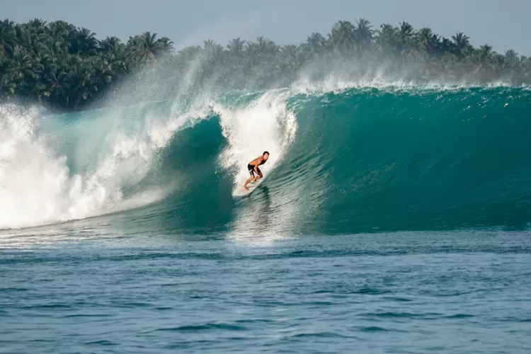 Pulau Mentawai Di Sumatera Barat Jadi Surganya Peselancar Dunia Apa