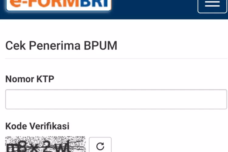 Tak Perlu Terdaftar BPUM BRI Eform Bri Co Id UMKM Pemilik NIK KTP Ini