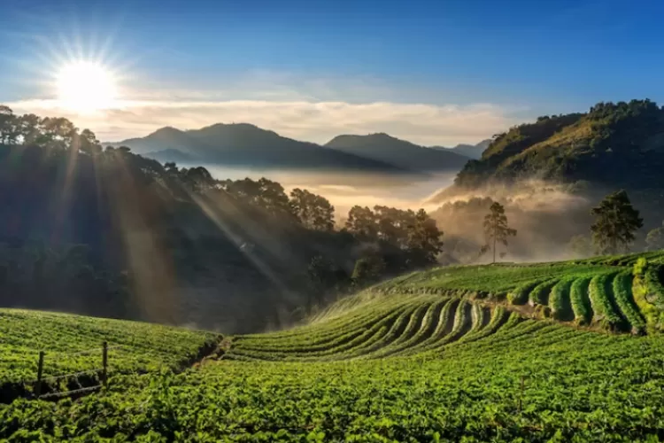 Tempat Wisata Di Serang Banten Dari Bukit Hingga Pantai Yang Cocok