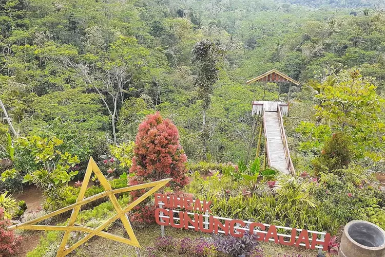 Menyusuri Surga Tersembunyi Di Desa Wisata Pandanrejo Sensasi Liburan