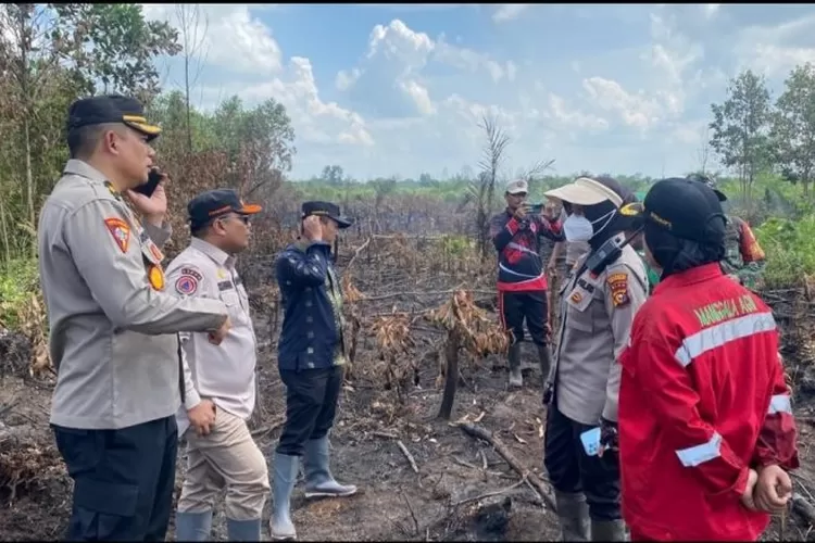 Kebakaran Lahan Di Pekanbaru Meningkat Haluan Riau