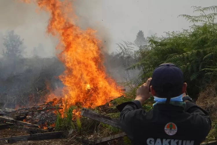 Teks Kata Sambutan Untuk Sosialisasi Kebakaran Hutan Dan Lahan Sesuai