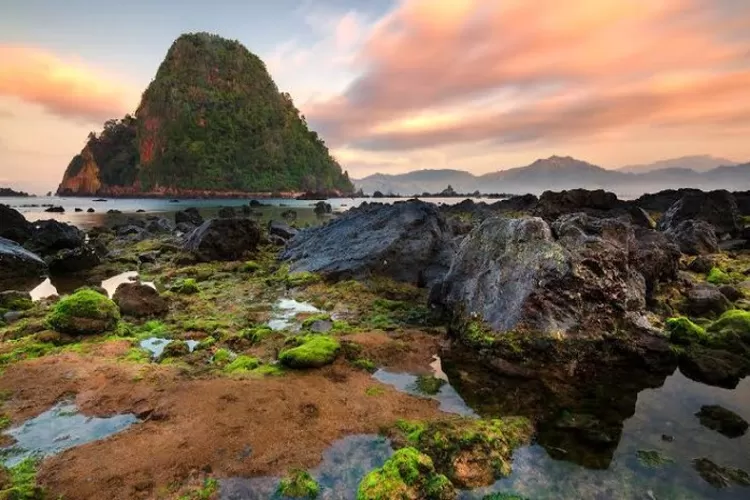 Unik Banget Wisata Pantai Pulau Merah Di Banyuwangi Ini Bisa Bikin