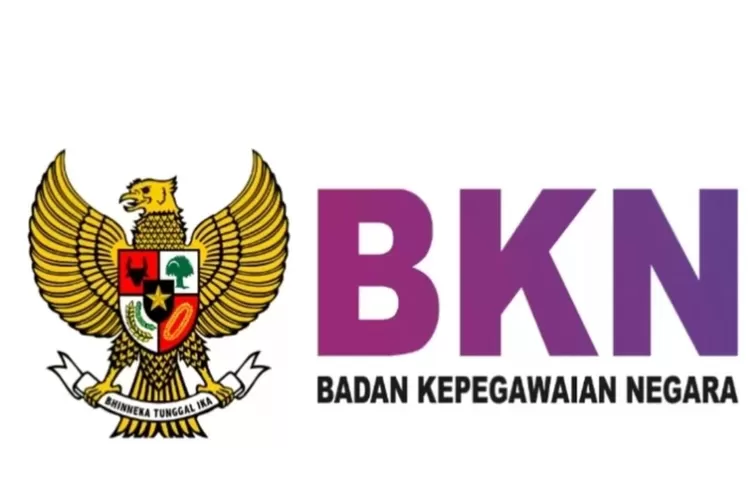 Cek Nama Pendataan Non ASN 2023 BKN Terbaru Akses Pendataan Nonasn Bkn