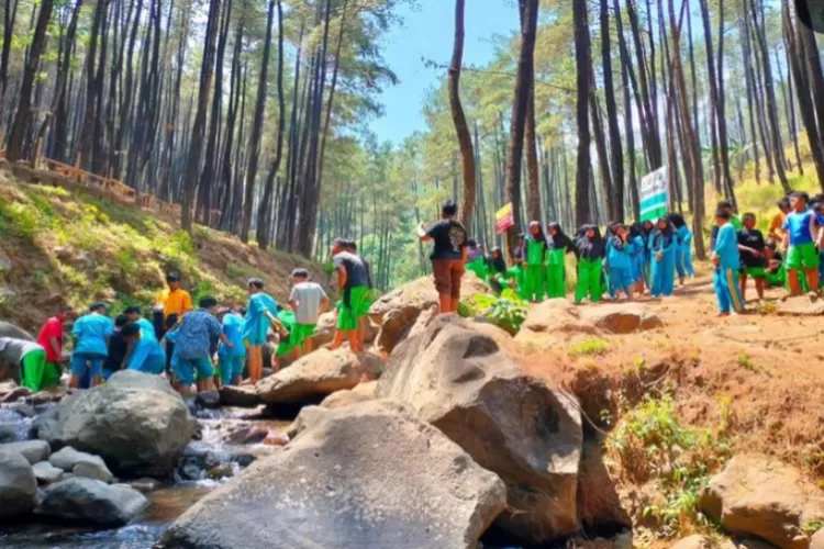 Pesona Alam Wisata Klurak Eco Park Pacet Lagi Viral Di Tiktok Camping