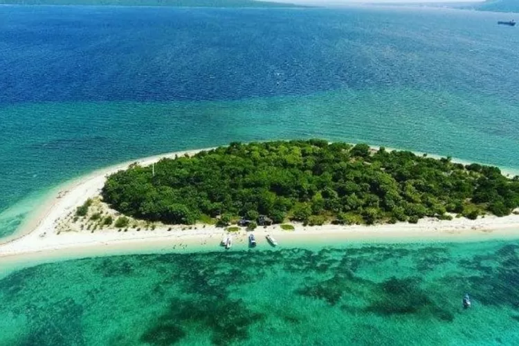 Menyelam Di Pulau Tabuhan Surga Bawah Laut Dengan Terumbu Karang Dan