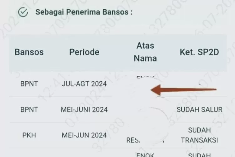 Selamat Status Bansos PKH Dan BPNT Juli Agustus Sudah Muncul Di SIKS