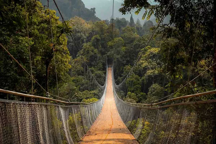 Jembatan Gantung Situ Gunung Pesona Liburan Yang Menggoda Di Sukabumi