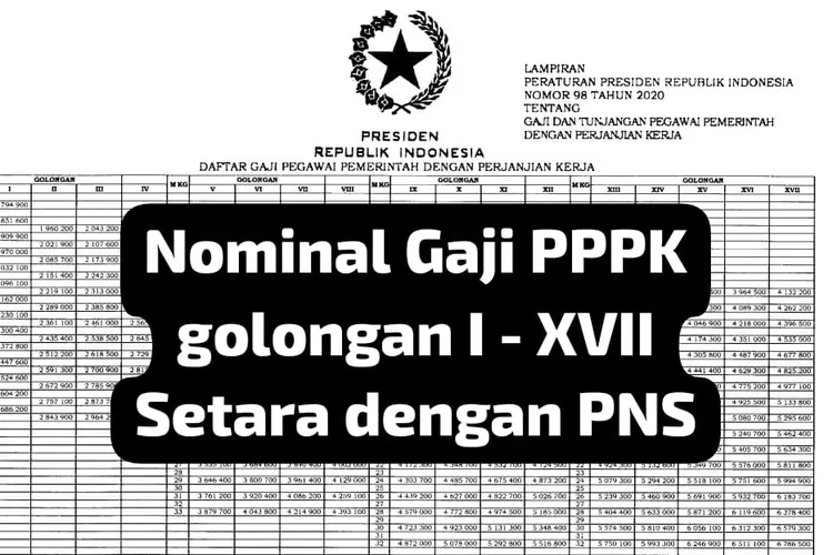 Sangat Menjanjikan Ternyata Sebesar Ini Gaji Dan Tunjangan Pppk Yang