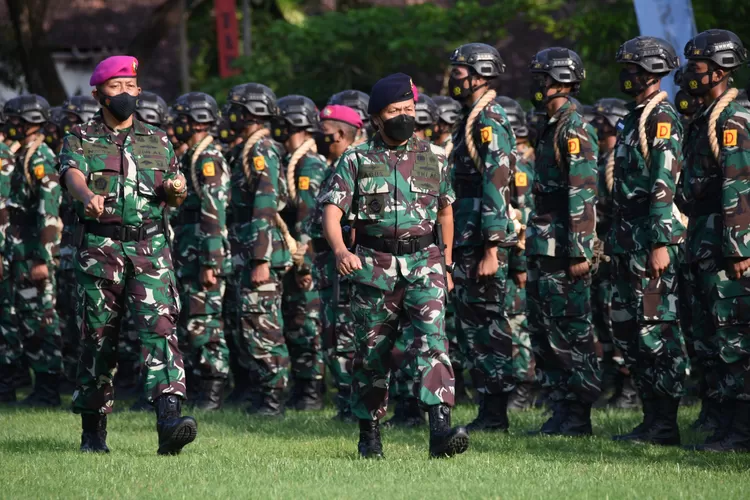 Inilah Tabel Besaran Gaji Tni Mulai Dari Pangkat Tamtama Hingga Perwira Tinggi Bulan Oktober