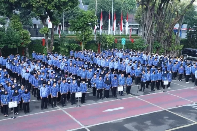 Sama Sama Tunjangan Di Luar Gaji Pokok Inilah Perbedaan Tukin Dan TPP