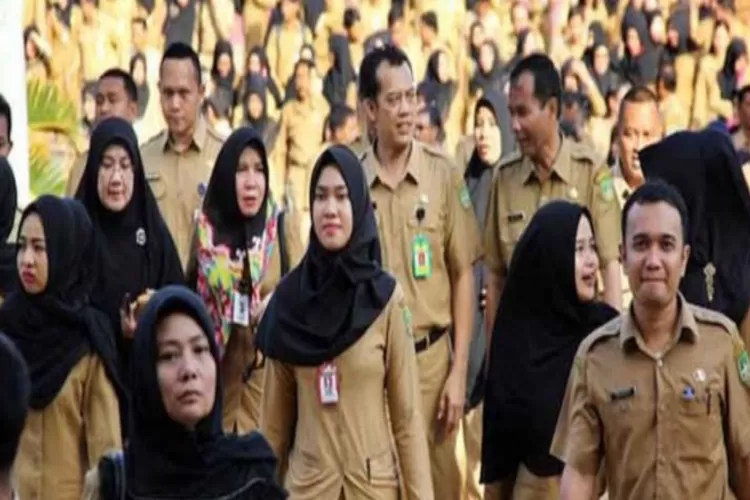 UU ASN 2023 PNS Dan PPPK Punya Hak Yang Setara Apa Saja Itu Klik