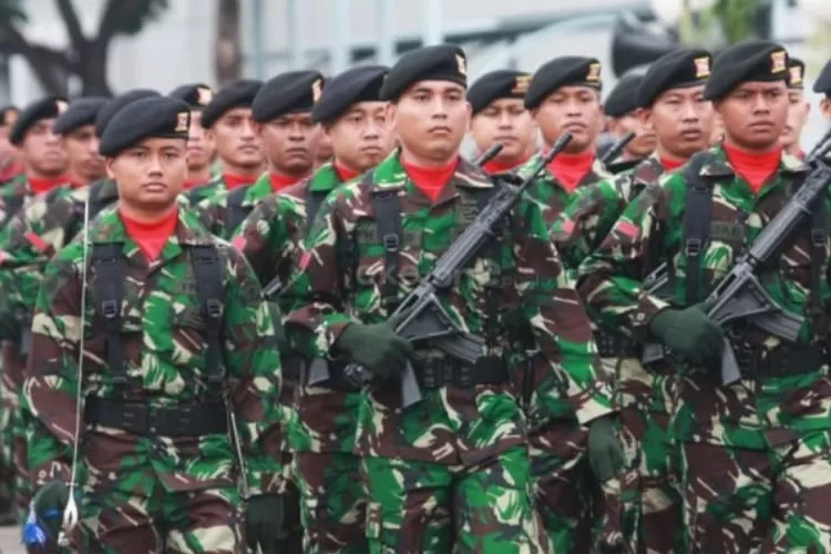 Tabel Gaji Tni Dan Tunjangan Dari Tamtama Hingga Perwira Tinggi Sebelum Mengalami Kenaikan Pada