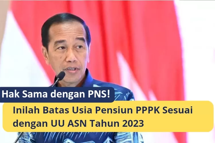 Hak Sama Dengan Pns Inilah Batas Usia Pensiun Pppk Sesuai Dengan Uu