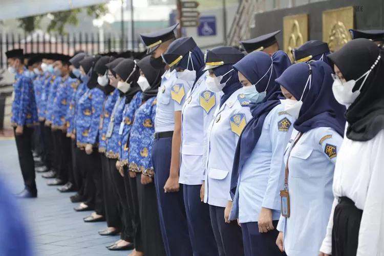 Lulus Auto Jadi Pns Ini Rekomendasi Sekolah Kedinasan Yang