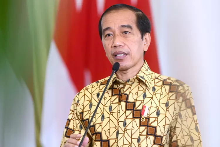 Jokowi Resmi Beri Hak Istimewa Bagi Pns Dan Pppk Pada Uu Nomor