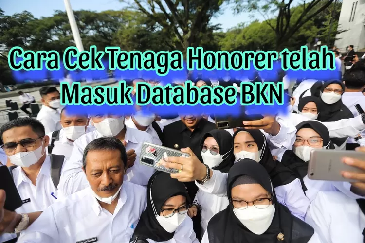 Ini Cara Cek Tenaga Honorer Yang Akan Diangkat Jadi Pppk Yang