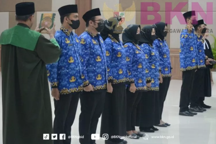 Resmi Dari Bkn Inilah Batas Usia Pensiun Pns Khusus Jabatan Fungsional