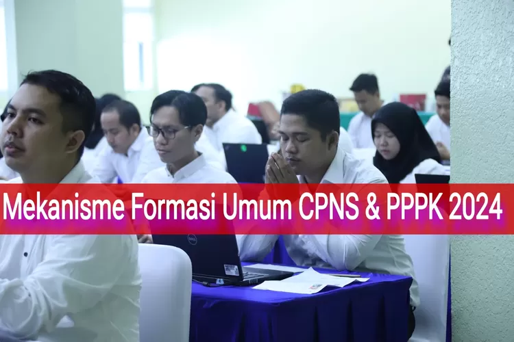 Begini Mekanisme Formasi Umum Pada Seleksi Cpns Dan Pppk Honorer