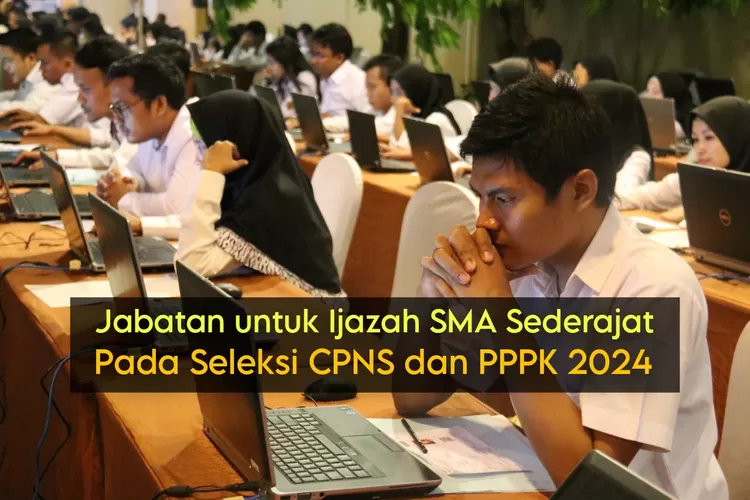 Inilah Jabatan Yang Bisa Ijazah Sma Di Instansi Pada Seleksi Cpns Dan