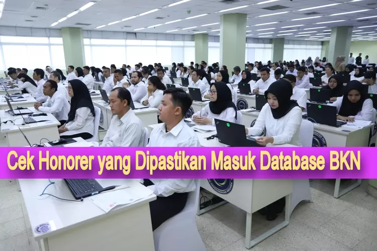 Inilah Honorer Yang Dipastikan Masuk Database Bkn Cek Apakah Kamu