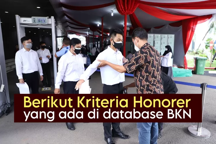 Siapa Honorer Yang Terdaftar Di Database BKN Dan Bisa Ikut Seleksi PPPK