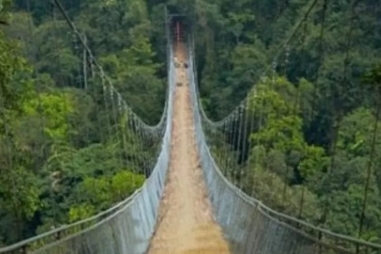 Rampung Dalam Waktu 4 Bulan Jembatan Gantung Sepanjang 243 Meter Ini