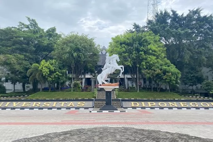 Segini Besaran Ukt Jurusan Peternakan Dan Pertanian Di Undip Semarang