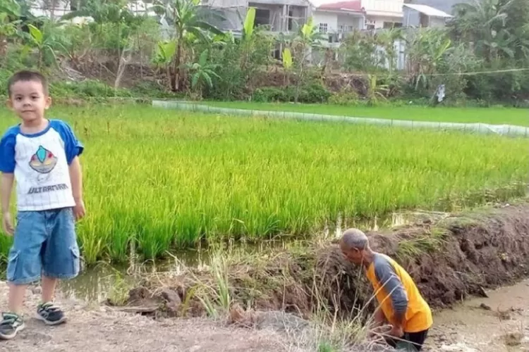 Langkah Adaptasi Dalam Bangun Ketahanan Terhadap Dampak Iklim Insiden