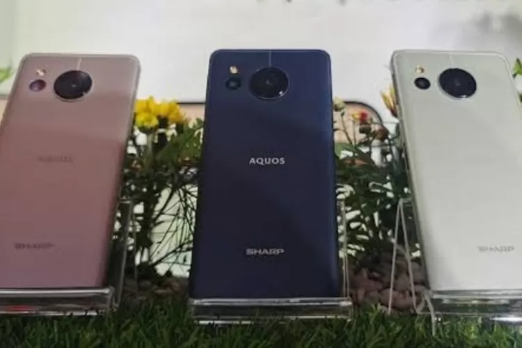 Sharp AQUOS Sense8 Bukan TV Ini Smartphone Canggih Tahan Banting Yang