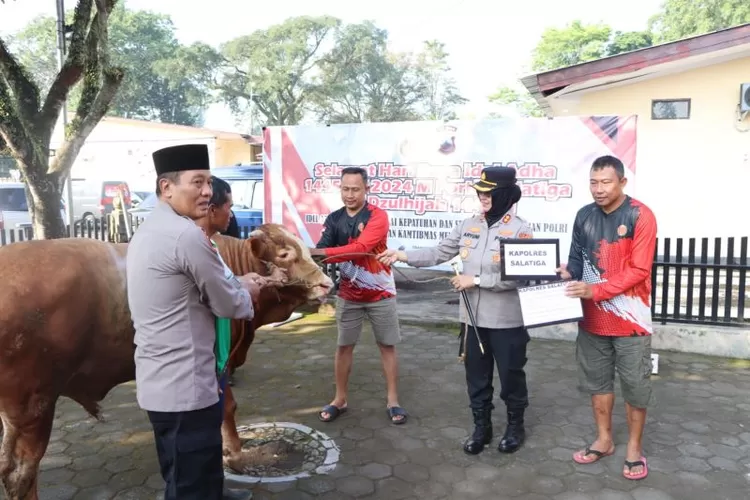 Polres Salatiga Kurban Ekor Sapi Dan Kambing Dibagikan Ke