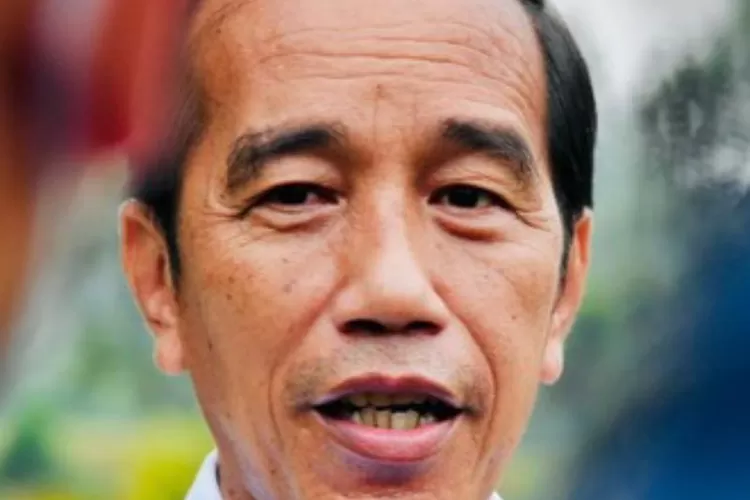 Ini Pesan Menakutkan Jokowi Bagi Pdip Di Balik Langkah Poliltik Kaesang