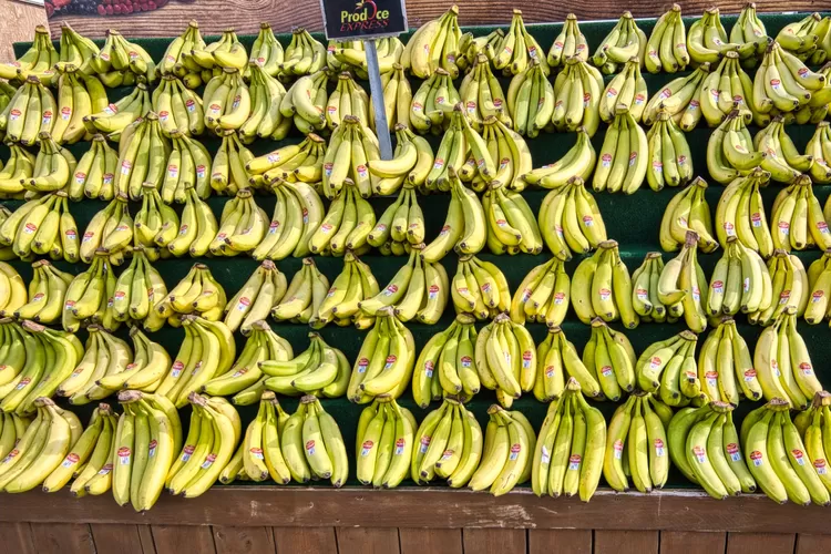 Daerah Penghasil Pisang Terbesar Di Majalengka Dikira Nomor