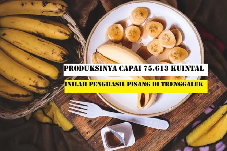 Kecamatan Penghasil Pisang Terbesar Di Trenggalek Juaranya Bukan