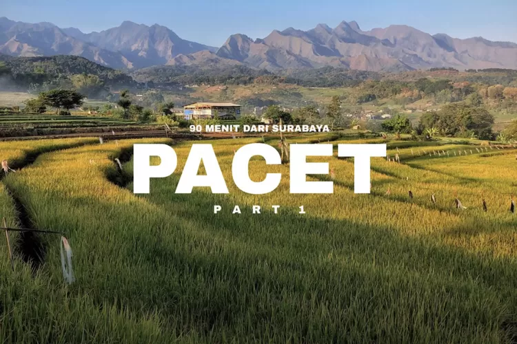 Bawa Kebahagiaan Keluarga Dengan Menikmati 3 Wisata Alam Di Pacet