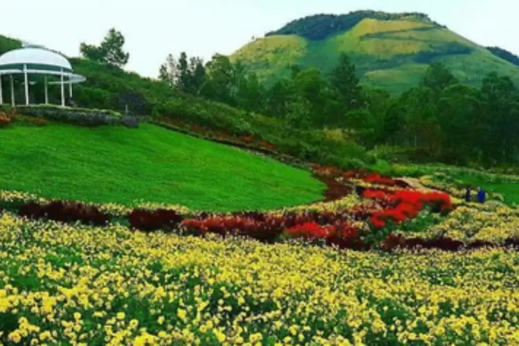 Taman Bunga Sapo Juma Destinasi Wisata Danau Toba Bisa Menjadi Opsi Kamu Saat Liburan Bersama