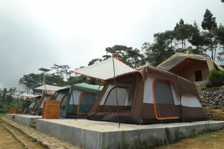 Wisata Glamping Di Lumajang Ini Tawarkan Suasana Berkemah Dengan