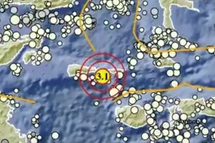 Sanana Maluku Utara Diguncang Gempa Bumi Dengan Magnitudo