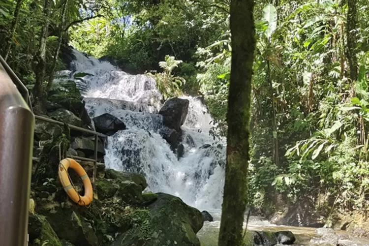 Misteri Siluman Ular Raksasa Di Balik Pesona Curug Awi Langit Desa