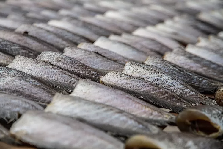 Inilah Kecamatan Penghasil Ikan Gurami Di Kota Malang Versi Bps