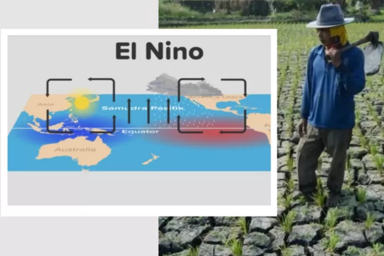 Dampak El Nino Bagi Indonesia Adalah Apa Mungkinkah Bansos El Nino