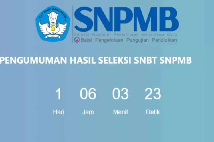 Nilai Gelombang 1 UTBK SNTB 2024 Sudah Bisa Dilihat INI Tanggal