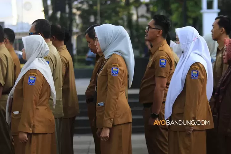 Tenaga Honorer Jadi Pppk Dengan Mudah Pemerintah Beri Dukungan Secara